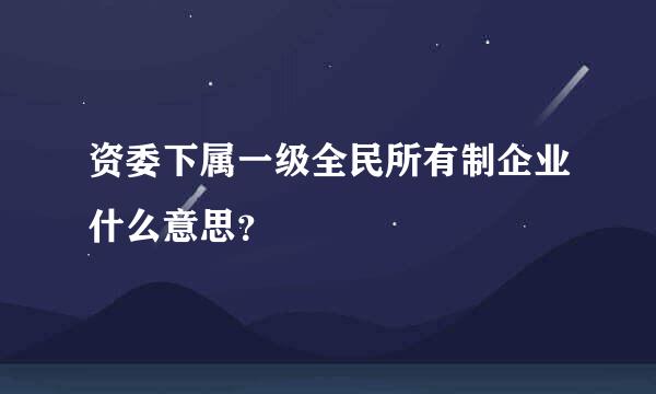 资委下属一级全民所有制企业什么意思？