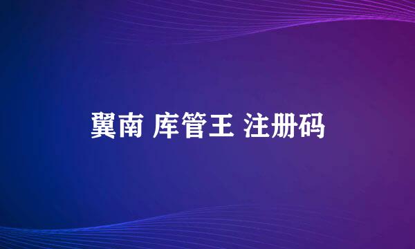 翼南 库管王 注册码