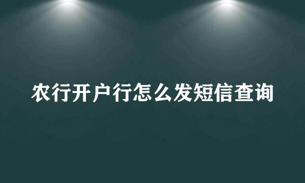 农行开户行怎么发短信查询