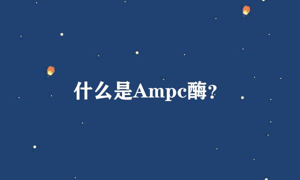 什么是Ampc酶？