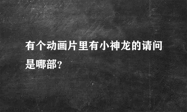 有个动画片里有小神龙的请问是哪部？