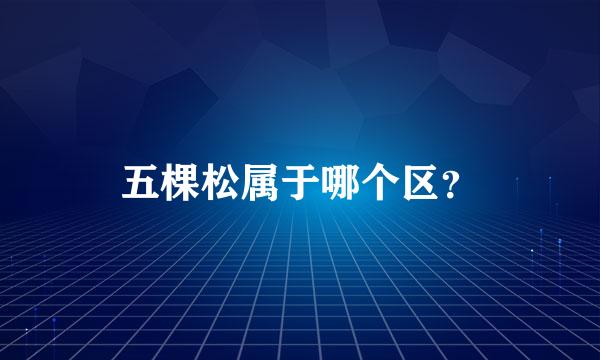 五棵松属于哪个区？