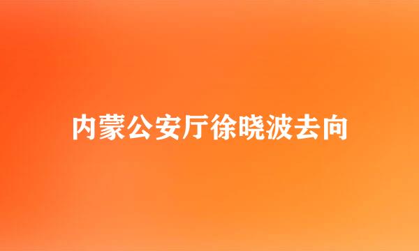 内蒙公安厅徐晓波去向