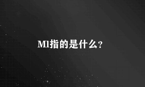 Ml指的是什么？