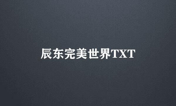 辰东完美世界TXT