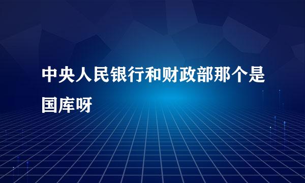 中央人民银行和财政部那个是国库呀