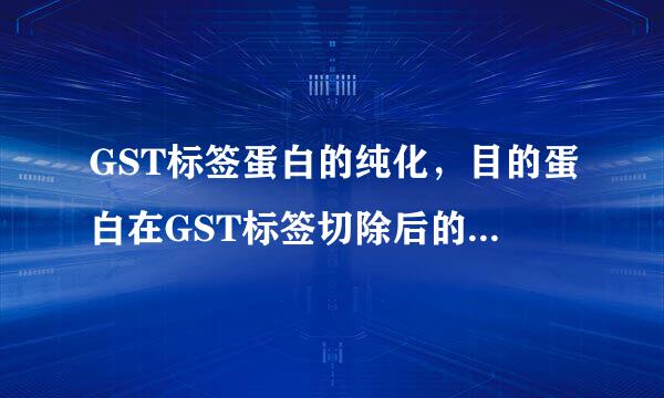 GST标签蛋白的纯化，目的蛋白在GST标签切除后的浓缩、纯化（离子交换和分子筛）过程中出现了聚集和降解。