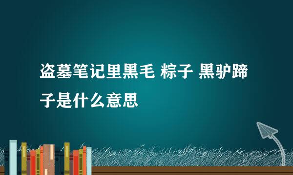 盗墓笔记里黑毛 粽子 黑驴蹄子是什么意思