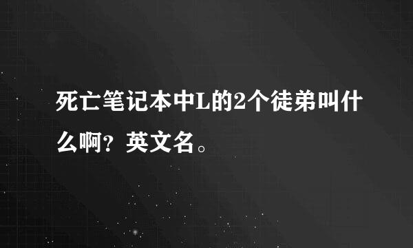 死亡笔记本中L的2个徒弟叫什么啊？英文名。