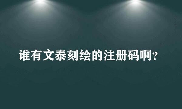 谁有文泰刻绘的注册码啊？