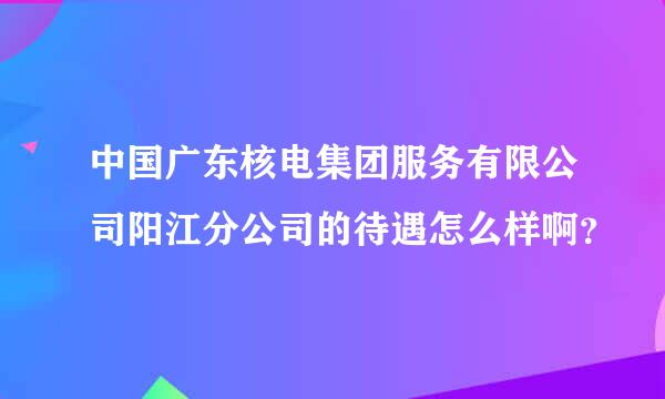 中国广东核电集团服务有限公司阳江分公司的待遇怎么样啊？