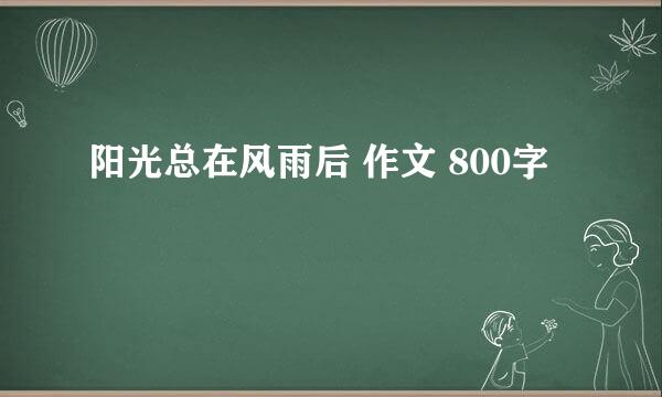 阳光总在风雨后 作文 800字