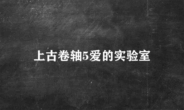 上古卷轴5爱的实验室