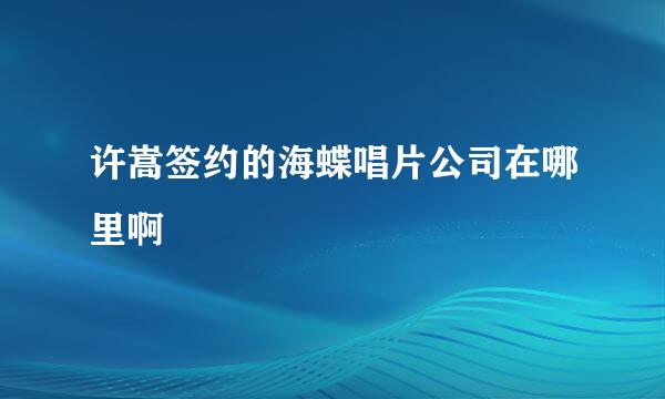 许嵩签约的海蝶唱片公司在哪里啊