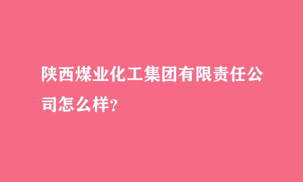 陕西煤业化工集团有限责任公司怎么样？