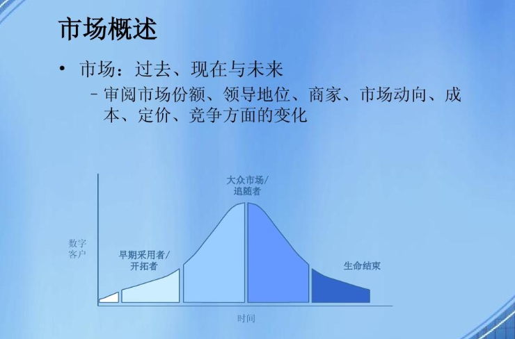 市场概述怎么写