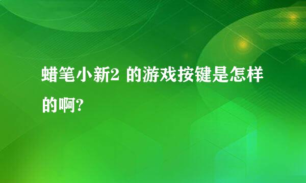 蜡笔小新2 的游戏按键是怎样的啊?