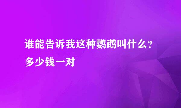 谁能告诉我这种鹦鹉叫什么？多少钱一对