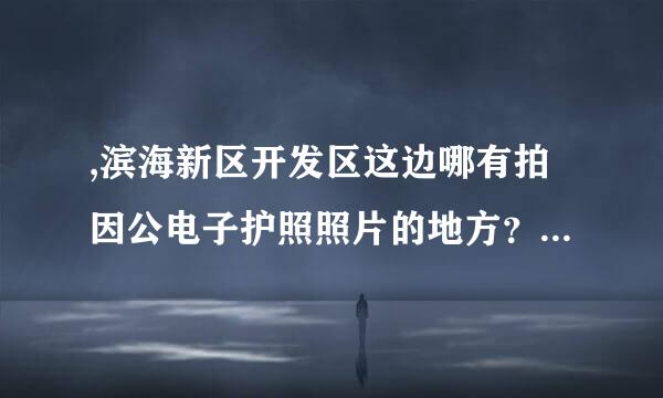 ,滨海新区开发区这边哪有拍因公电子护照照片的地方？我找了两个地方拍完都通不过检测，哪位达人帮忙指点