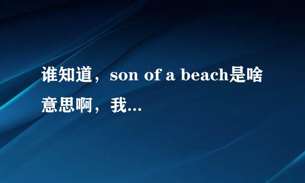 谁知道，son of a beach是啥意思啊，我同学经常说