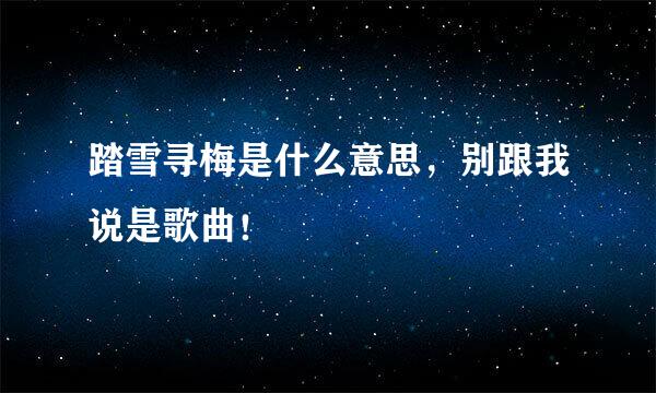 踏雪寻梅是什么意思，别跟我说是歌曲！