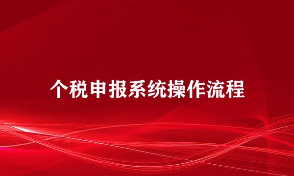 个税申报系统操作流程