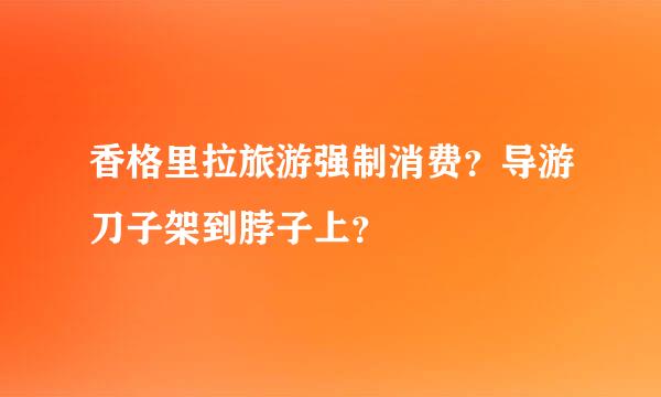 香格里拉旅游强制消费？导游刀子架到脖子上？