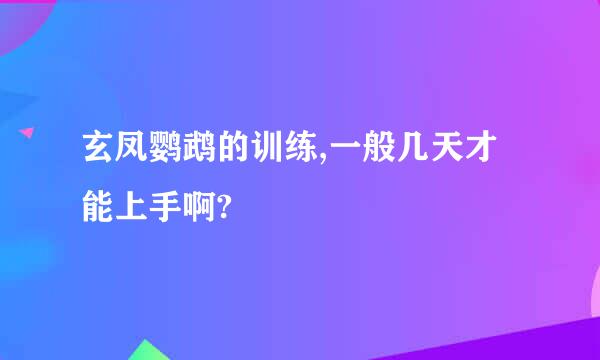 玄凤鹦鹉的训练,一般几天才能上手啊?