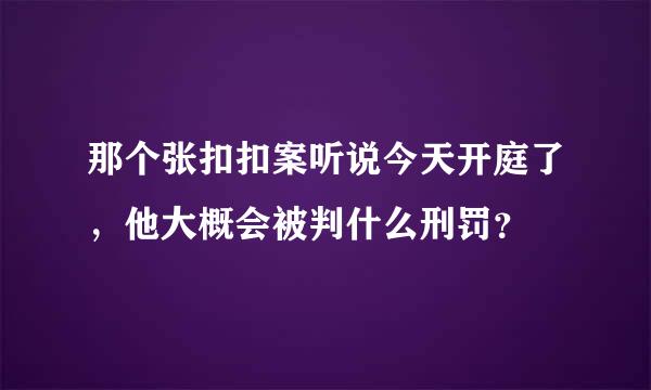 那个张扣扣案听说今天开庭了，他大概会被判什么刑罚？