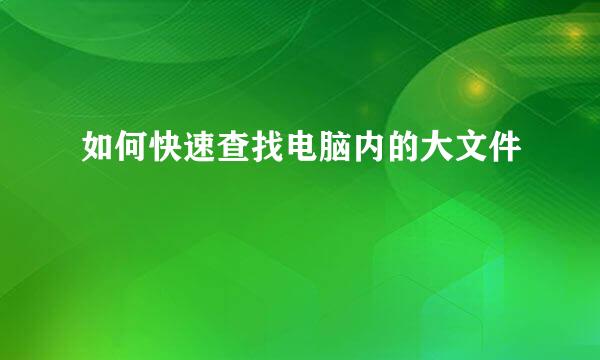 如何快速查找电脑内的大文件