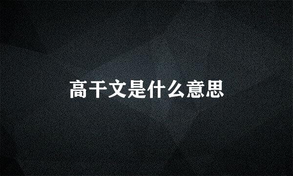 高干文是什么意思