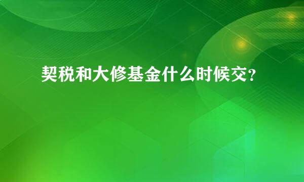 契税和大修基金什么时候交？