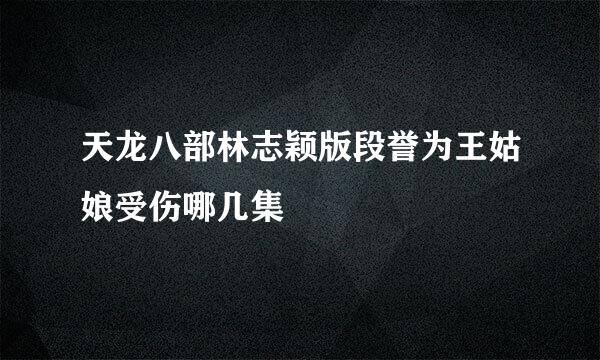 天龙八部林志颖版段誉为王姑娘受伤哪几集