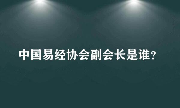 中国易经协会副会长是谁？