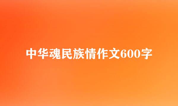 中华魂民族情作文600字