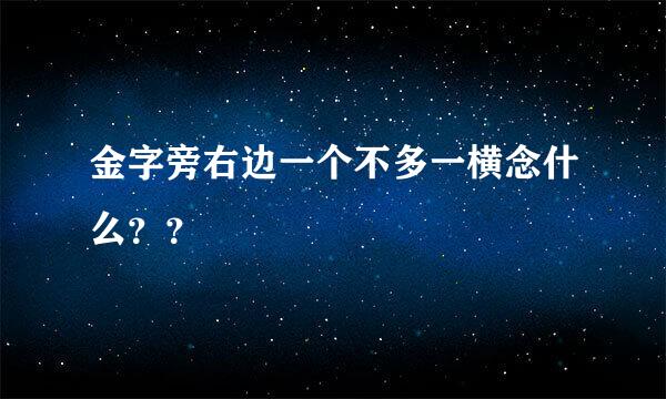 金字旁右边一个不多一横念什么？？