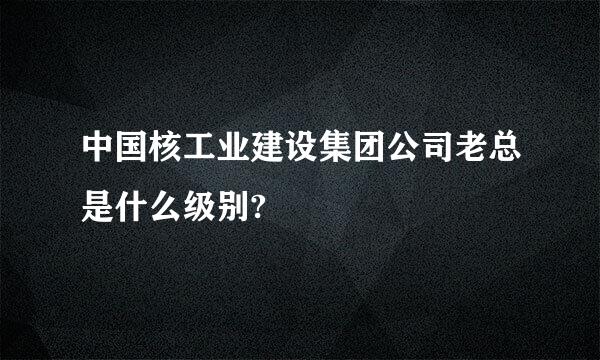 中国核工业建设集团公司老总是什么级别?