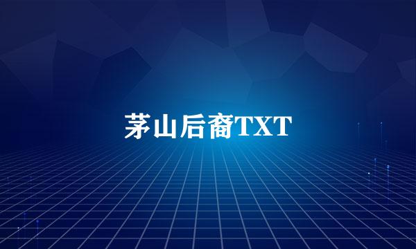 茅山后裔TXT