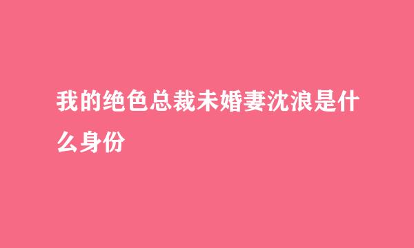 我的绝色总裁未婚妻沈浪是什么身份