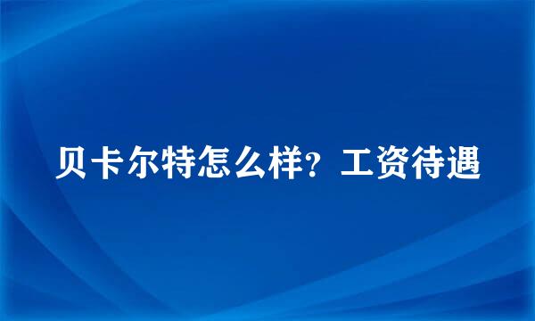 贝卡尔特怎么样？工资待遇