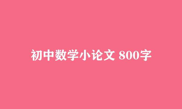 初中数学小论文 800字