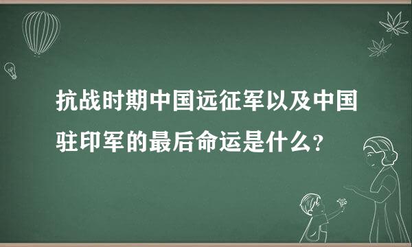 抗战时期中国远征军以及中国驻印军的最后命运是什么？