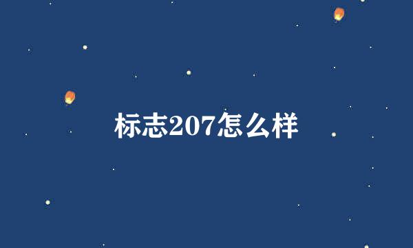 标志207怎么样