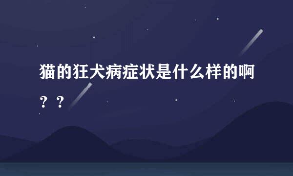 猫的狂犬病症状是什么样的啊？？