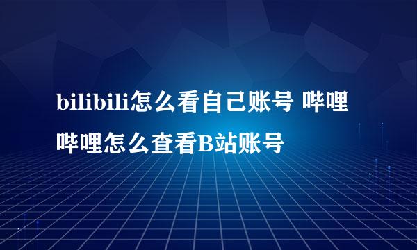 bilibili怎么看自己账号 哔哩哔哩怎么查看B站账号