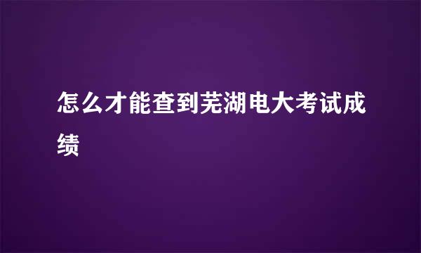 怎么才能查到芜湖电大考试成绩