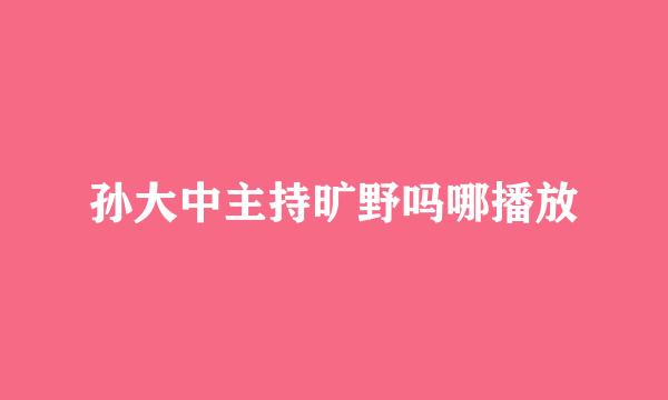 孙大中主持旷野吗哪播放