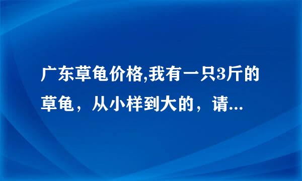 广东草龟价格,我有一只3斤的草龟，从小样到大的，请问市场价