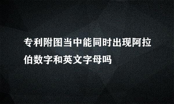 专利附图当中能同时出现阿拉伯数字和英文字母吗