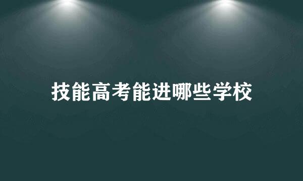 技能高考能进哪些学校